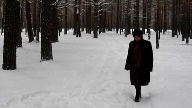 Ледниковый период 1