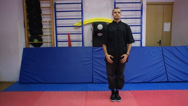 Базовая техника кунг-фу: ката на позиции смотреть онлайн