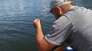 Рыбалка на Реке Волга Нижегородская область с.Хмелевка ловим ЛЕЩЕЙ