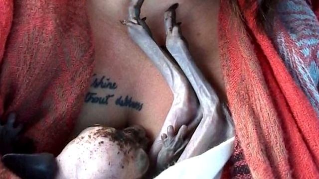 Женщина подобрала необычное животное на дороге, но он оказался не тем смотреть онлайн