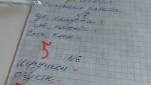 проверка тетрадей 7 класса