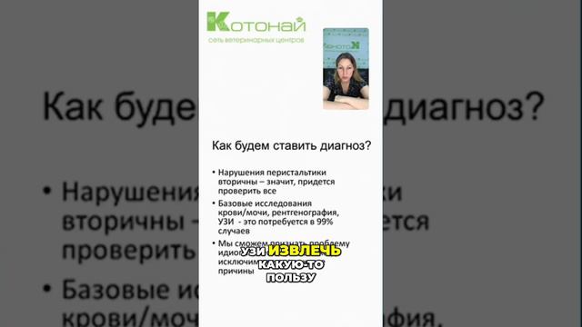 Скрининг при атонии желудка | основные исследования и диагностика