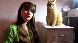 Мой домашний питомец /Про моего котика Рыжика , Совмесное