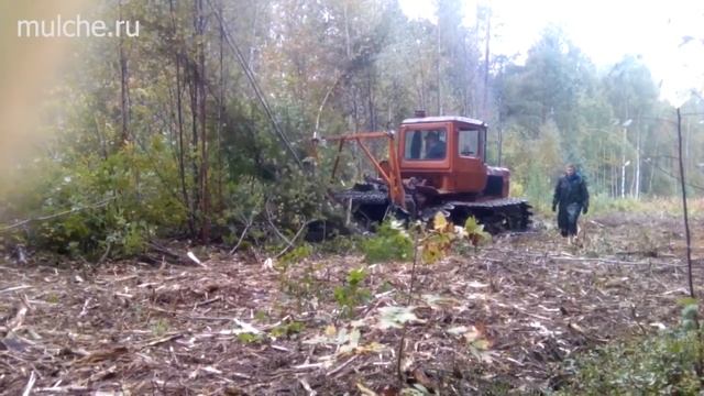 Мульчер на базе трактора ДТ-75 для удаления деревьев и пней смотреть онлайн