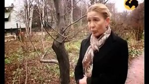 Сад перед снегом  Ландшафтные хитрости 29