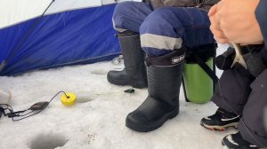 Способы проводки. Безмотылка для начинающих, поклевки Разрез