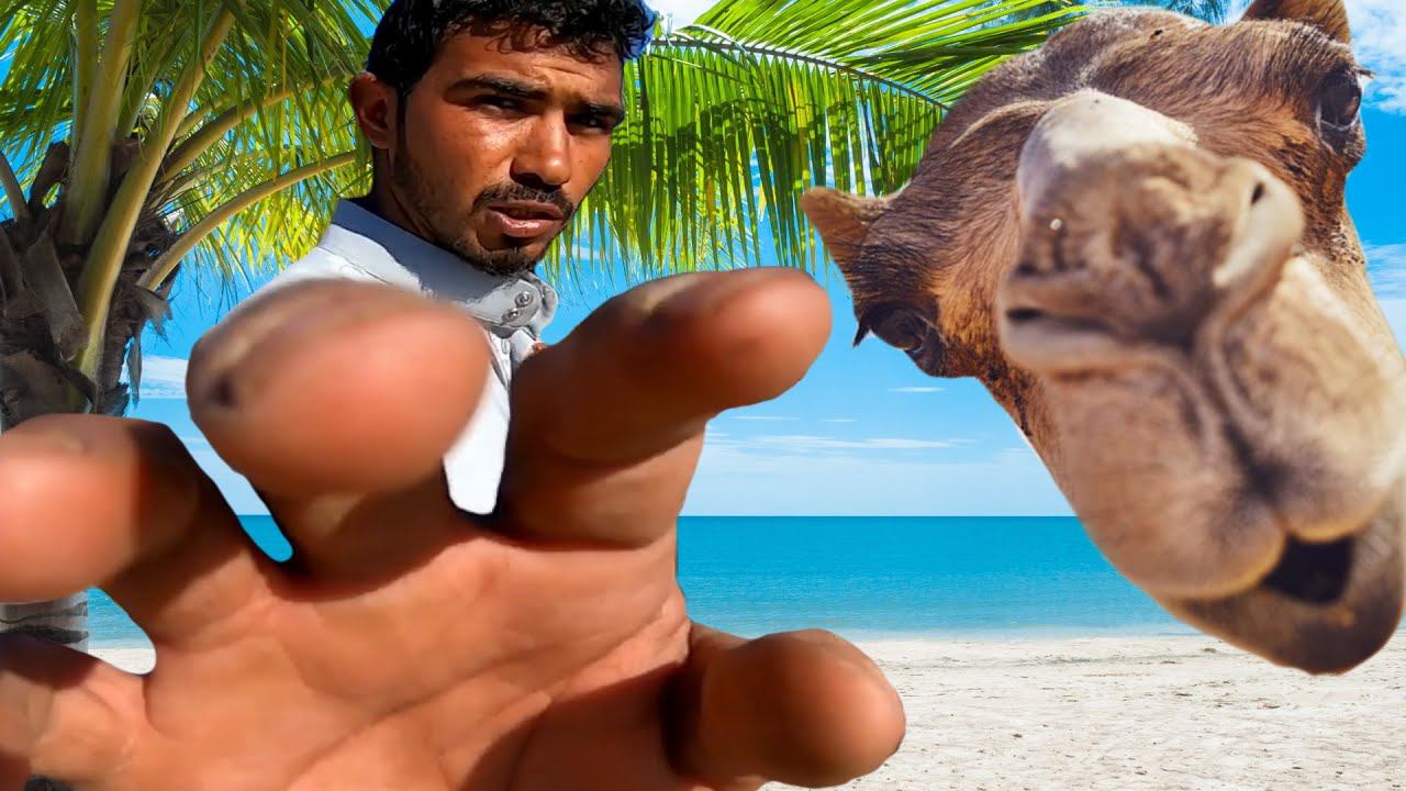 Отдых в Египте. Как на меня напал араб с верблюдом смотреть онлайн