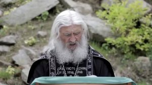 Схиигумен Сергий (Романов): Вопрос к В.В. П.