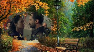 Два белых лебедя