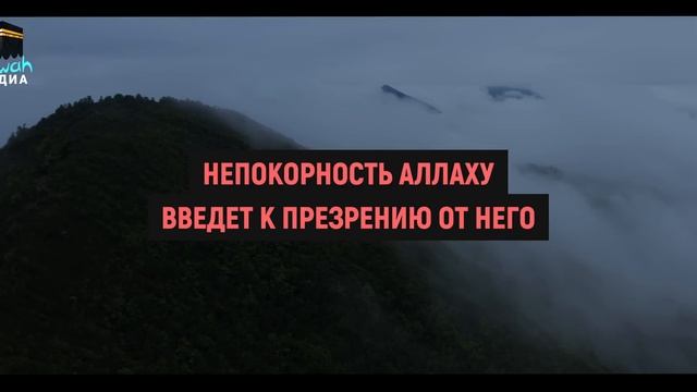 НЕМЕДЛЕННО ПРЕКРАТИ СОВЕРШАТЬ ЭТОТ ГРЕХ, ОН ВЫЗЫВАЕТ ПОТЕРЮ ПАМЯТИ И ДЕЛАЕТ ГРУСТНЫМ | Dawah медиа