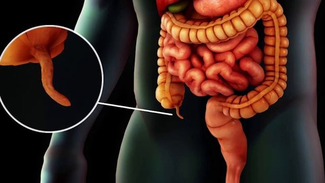 Одуванчик укрепит иммунитет и сохранит аппендикс О чем молчат врачи Часть 2 смотреть онлайн