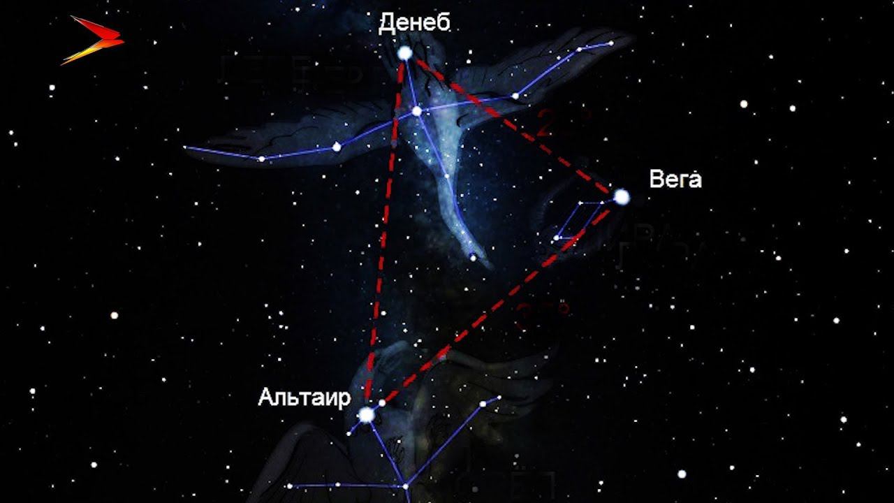 Вега и Арктур. Вега & (Сириус | Арктур). Альтаир и Вега. Регул Арктур капелла.