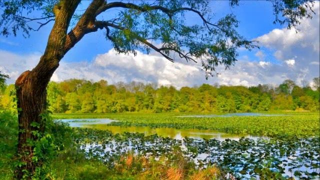 Вселенские законы -  неизбежность воздаяния.