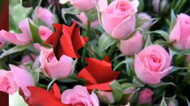 Для мамы. Не спит только мама. " На улице тишина. " смотреть онлайн