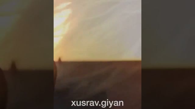 Она любила блюзы и сонеты | Автор стихотворения: Маджента смотреть онлайн