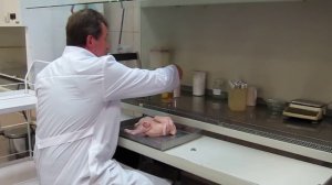 Анализ на сальмонеллёз