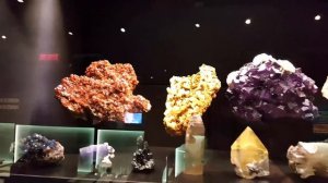 ОТТАВА: семейные каникулы в Канаде - МУЗЕЙ ПРИРОДЫ, ДРУЗЬЯ, ПУТЕШЕСТВИЕ НА МАШИНЕ