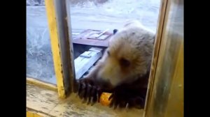 ВОТ ПОЧЕМУ АМЕРИКАНЦЫ БОЯТСЯ РУССКИХ