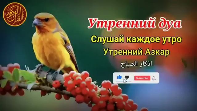 Утренний Дуа смотреть онлайн