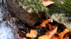 Мой клип на песню Робби Вильямса Feel ( Чувствовать)