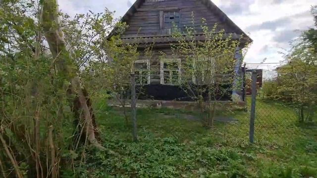 Древний каньон реки Лава. Уникальное место Ленинградской области. смотреть онлайн