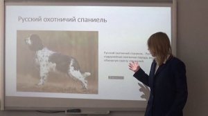 Загуренкова З.А. 11 класс. "Собаки на службе у человека". ОАНО "Лицей "Столичный""