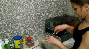 Быстрый запуск аквариума.