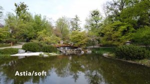 Fujifilm X-T30 15-45mm video test
