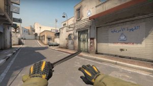 Sport Gloves Omega MW + M4A4 Buzz Kill FN