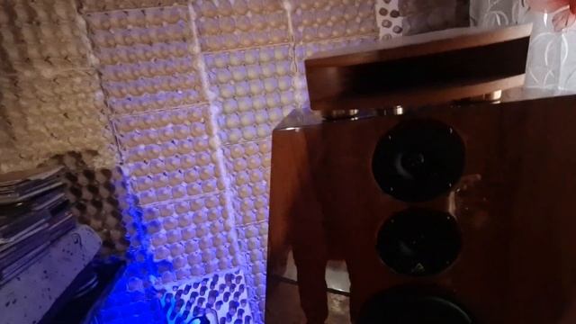 Акустика Aleks audio Maestro Gold 20+моноблоки Manley Neo-Classic 250 смотреть онлайн