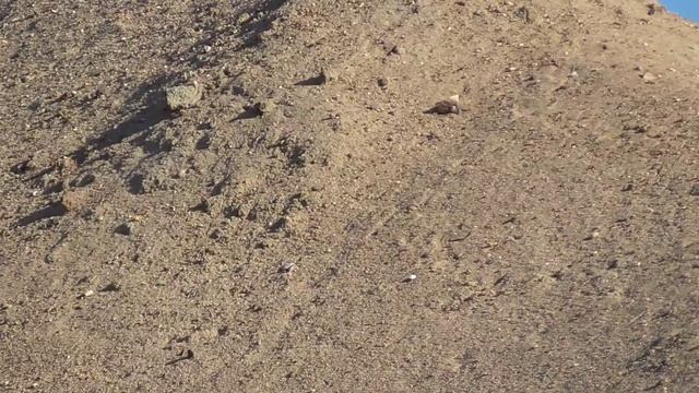 Песок карьерный - http://nachastroika.ru/sand.html смотреть онлайн