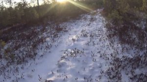 Промысел соболя.1 серия. Заезжаем на избу начало сезона на соболя в сибирской тайге.