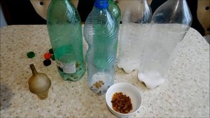 КВАС из березового сока с изюмом и сахаром в пластиковых бутылках. Просто и вкусно!