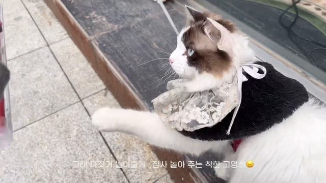 [VLOG] 직장인 브이로그 I 직장인 일상 I 반반차 I 엄마랑 데이트 I 직장인 데일리룩 I 서울 야경 I 와인바
