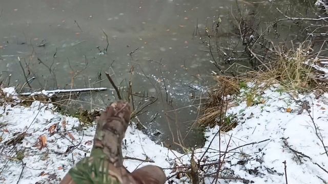 Охота на бобра от второго лица. смотреть онлайн