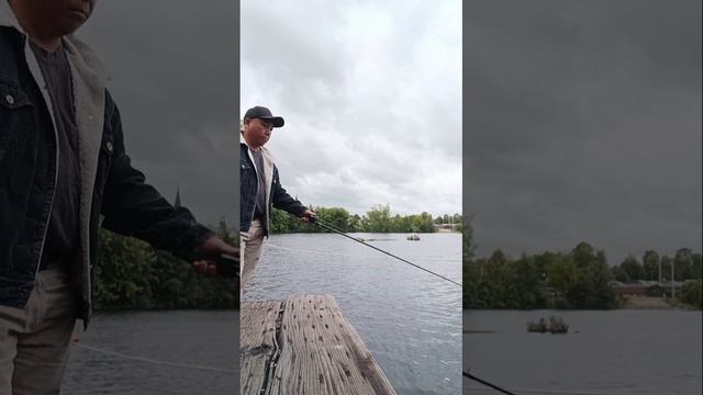 can't go wrong using GULP ALIVE !!!!! THEY LOVE IT ... смотреть онлайн