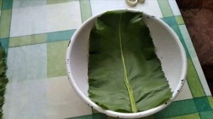 Лечение листьями хрена
