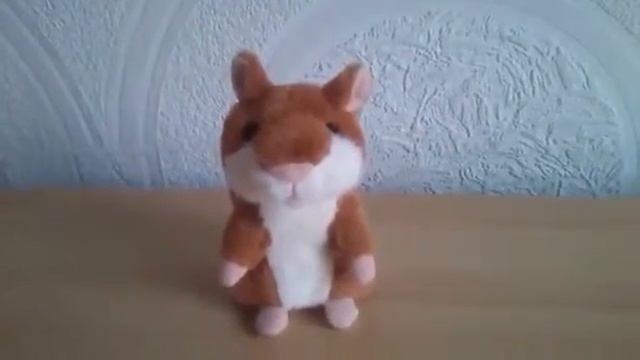 Говорящий хомяк, игрушка, обзор Хомяк повторюшка kidtoy in ua смотреть онлайн