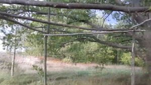 Как разбить лагерь в лесу/Перезалив видео "Как сделать шалаш"