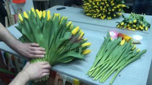 151 желтый тюльпан. Сборка букета