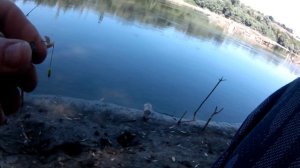 УКЛЕЙКА НА ПОПЛАВОК, ТОЛЬКО УСПЕВАЙ