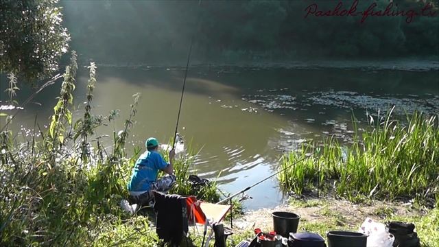 ? ЧТО ВОДИТЬСЯ В ЭТОМ БОЛОТЕ ? Рыбалка на Фидер, СЕКРЕТНОЕ МЕСТО? ДИКАЯ РЫБА
