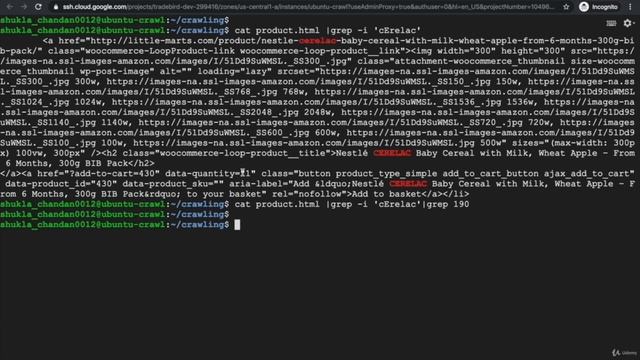 Web Crawling/Scraping Tutorial for Beginners