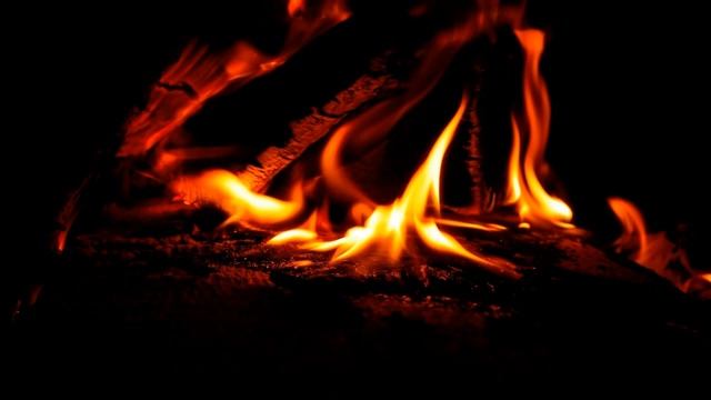 СТРАШНЫЕ ИСТОРИИ ПРО ОБОРОТНЕЙ В ТАЙГЕ / СТРАШНЫЕ ИСТОРИИ ПРО ОБОРОТНЕЙ / ВОЛК / ДЕРЕВНЯ / ЛЕС смотреть онлайн