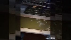 Клетка для попугая, вольер. Своими руками