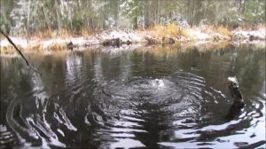 Край Пермского края