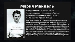 Надзирательницы Третьего Рейха