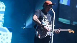 blink-182 2023 - Tour Update Pt. 5