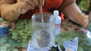 ЧЕМ ПОДКОРМИТЬ РОЗЫ ЛЕТОМ ПО ЛИСТУ / ВНЕКОРНЕВАЯ ПОДКОРМКА РОЗЫ  / ЯНТАРНАЯ КИСЛОТА ДЛЯ РОЗЫ ЛЕТОМ