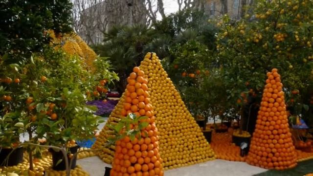 FÊTE DU CITRON смотреть онлайн